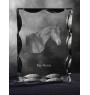 Braunes Pferd - crystal with a picture of a horse, glass statuette with a picture, unique frame with a picture from Art-Dog brand