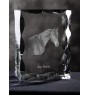Braunes Pferd - crystal with a picture of a horse, glass statuette with a picture, unique frame with a picture from Art-Dog brand