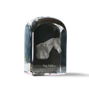 Cheval bai - un cube de cristal avec une photo, une photo de cheval dans le cristal, un presse-papiers cubique de la marque Art-Dog