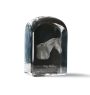 Cheval bai - un cube de cristal avec une photo, une photo de cheval dans le cristal, un presse-papiers cubique de la marque Art-Dog