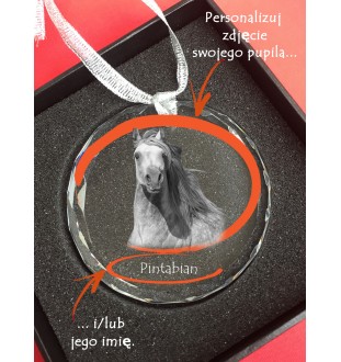 Cheval bai - boule de Noël en cristal avec une photo, photo de cheval dans le cristal, décoration personnalisée pour sapin de Noël de la marque Art-Dog