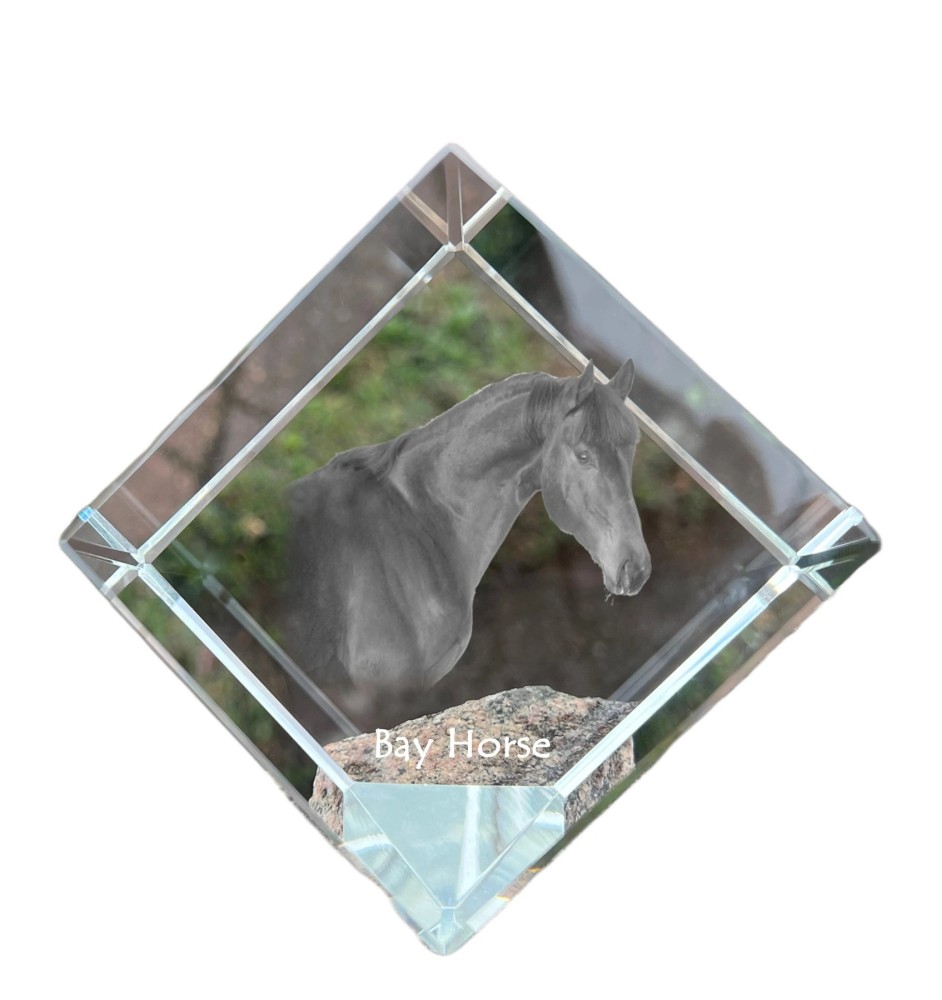 Cheval bai - un cube de cristal avec une photo de cheval, une photo de cheval dans le cristal, un presse-papiers cubique de la marque Art-Dog