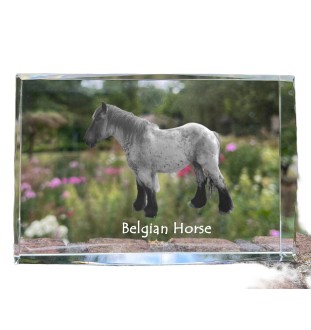 Koń belgijski kryształ z koniem Art-Dog