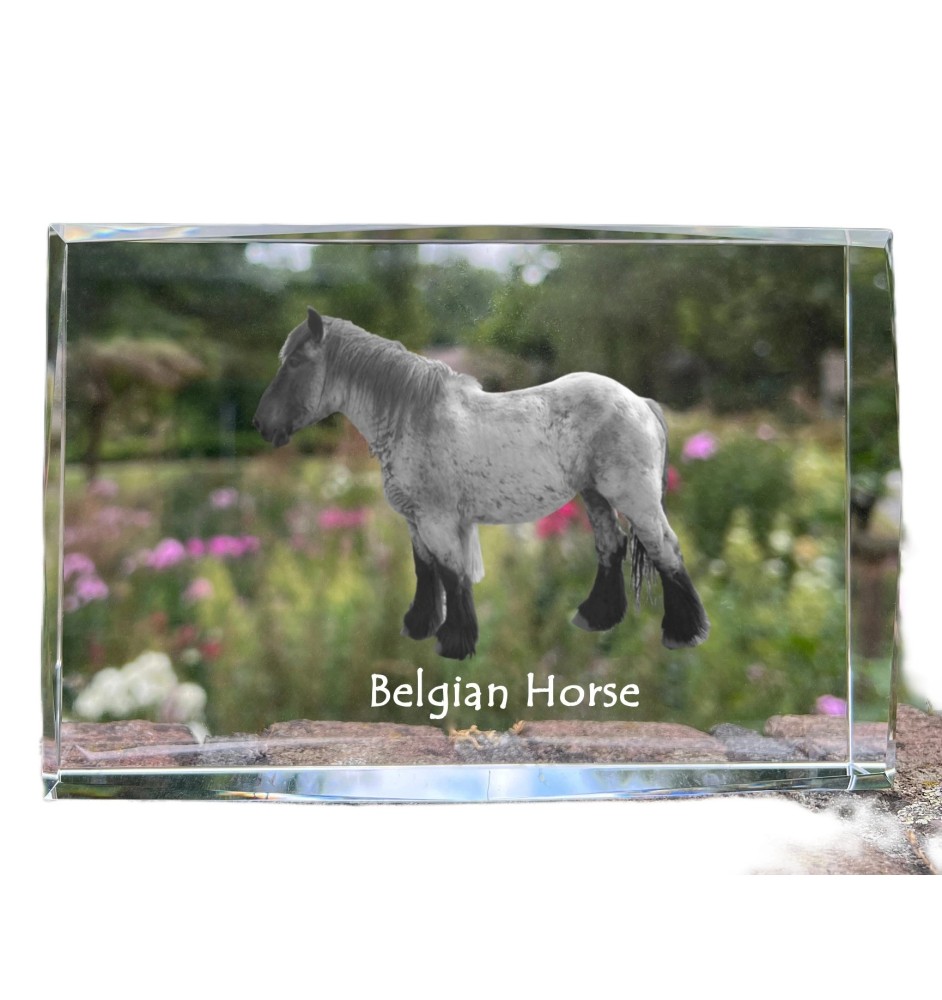 Belgian Horse - crystal with a picture of a horse, photo in glass, modern exhibition of Art-Dog brand photo