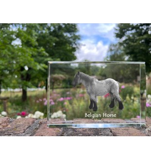 Belgian Horse - crystal with a picture of a horse, photo in glass, modern exhibition of Art-Dog brand photo