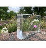 Belgian Horse - crystal with a picture of a horse, photo in glass, modern exhibition of Art-Dog brand photo