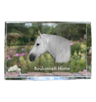 Cheval Boulonnais - cristal avec une photo de cheval, photo sous verre, exposition moderne de la marque de photos Art-Dog