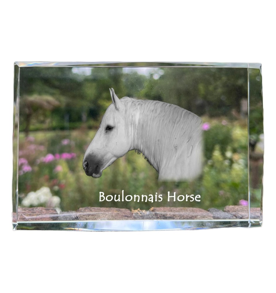 Cheval Boulonnais - cristal avec une photo de cheval, photo sous verre, exposition moderne de la marque de photos Art-Dog