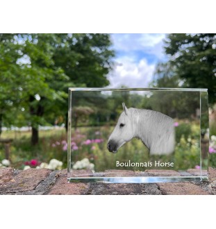 Cheval Boulonnais - cristal avec une photo de cheval, photo sous verre, exposition moderne de la marque de photos Art-Dog