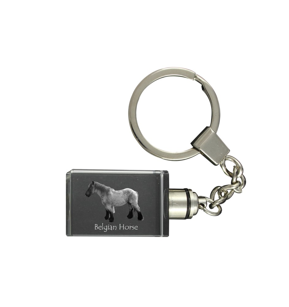 Belgian Horse - Crystal pendant with photo of a horse, illuminated pendant, unique gift by Art-Dog brand