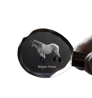Koń belgijski brelok do kluczy kryształowy z koniem Art-Dog