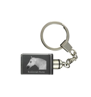 Boulonnais-Pferd - Kristall-Anhänger mit Foto eines Pferdes, beleuchteter Anhänger, einzigartiges Geschenk der Marke Art-Dog