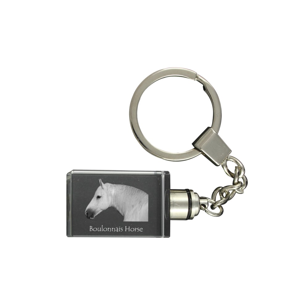 Cheval Boulonnais - Pendentif en cristal avec photo de cheval, pendentif lumineux, cadeau unique de la marque Art-Dog