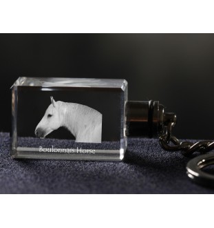 Cheval Boulonnais - Pendentif en cristal avec photo de cheval, pendentif lumineux, cadeau unique de la marque Art-Dog