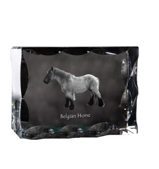 Belgian Horse - kryształ ze zdjęciem konia, szklana statuetka ze zdjęciem, wyjątkowa ramka ze zdjęciem marki Art-Dog
