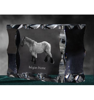 Belgisches Pferd - crystal with a picture of a horse, glass statuette with a picture, unique frame with a picture from Art-Dog brand