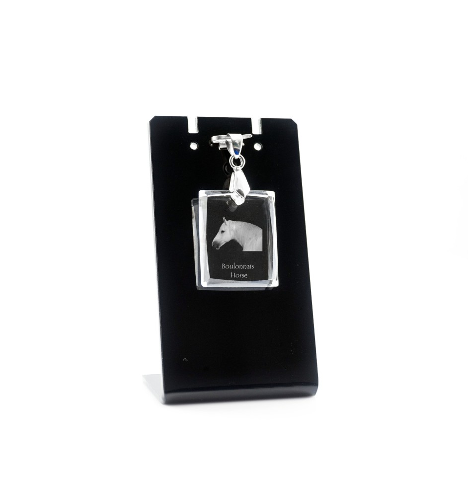 Cheval Boulonnais - Crystal pendant with horse, photo necklace, unique jewellery by Art-Dog