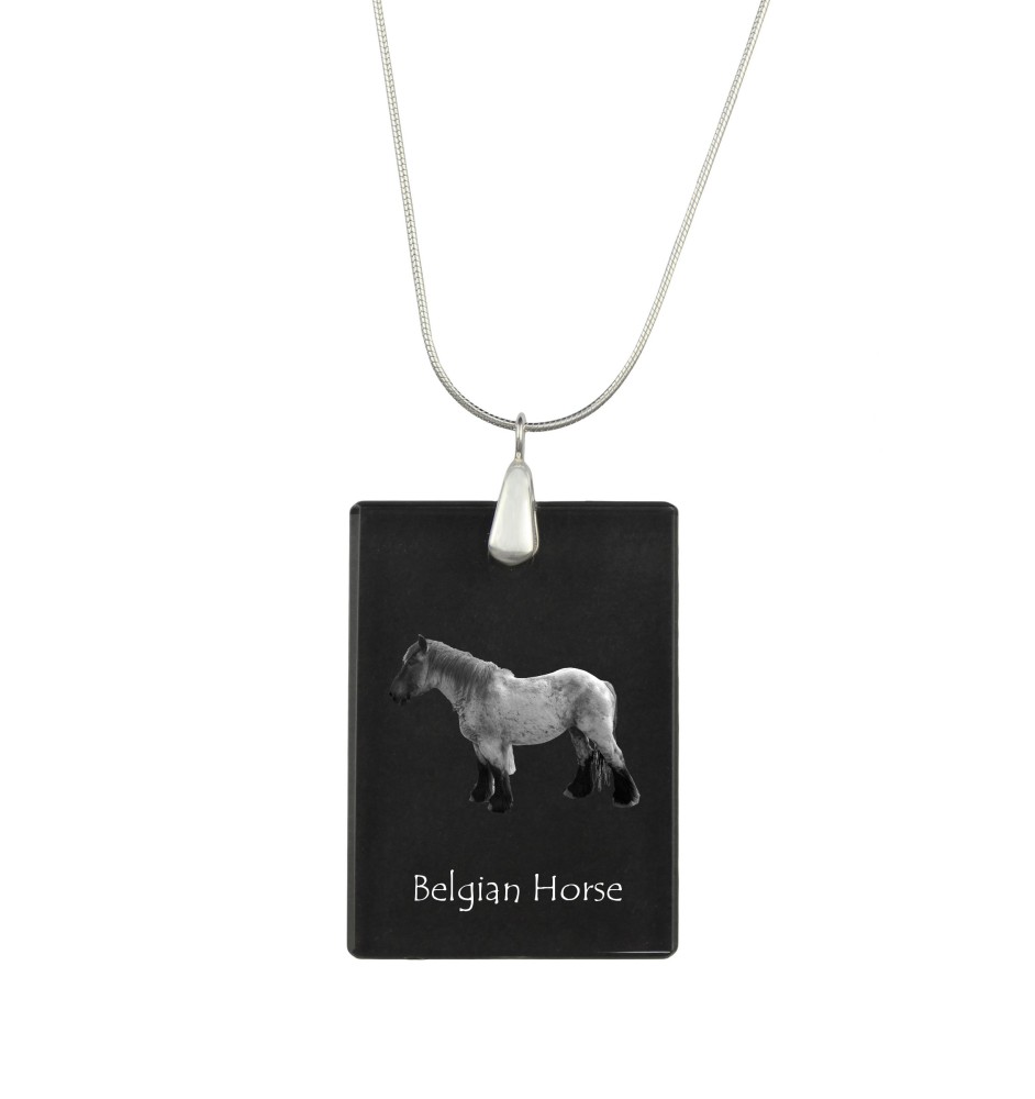 Belgisches Pferd - Crystal pendant with horse, silver necklace with photo, personalised pendant by Art-Dog brand