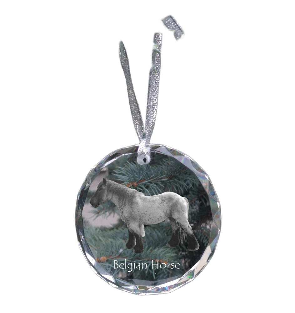 Cheval belge - boule de Noël en cristal avec une photo, photo de cheval dans le cristal, décoration personnalisée pour sapin de Noël de la marque Art-Dog