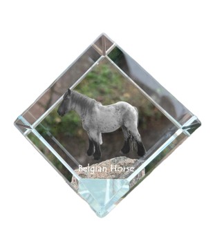 Cheval belge - un cube de cristal avec une photo de cheval, une photo de cheval dans le cristal, un presse-papiers cubique de la marque Art-Dog