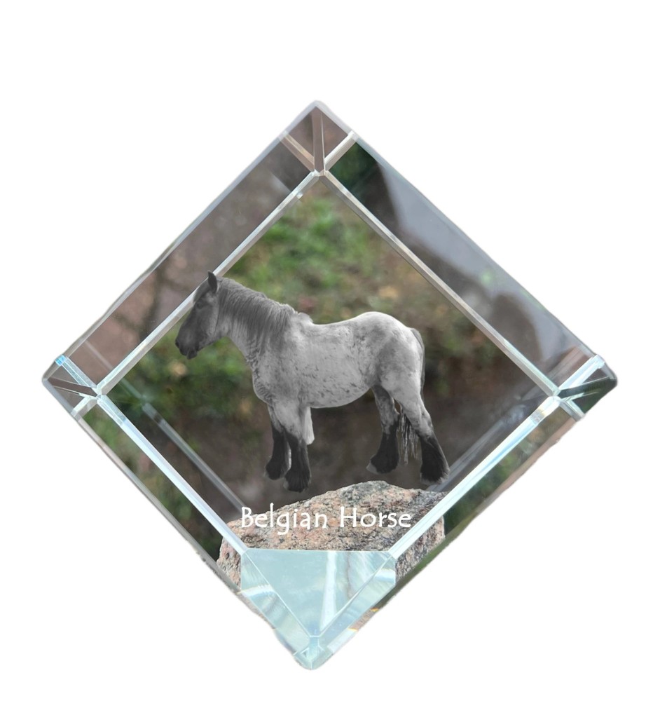 Koń belgijski kostka kryształowa z koniem Art-Dog