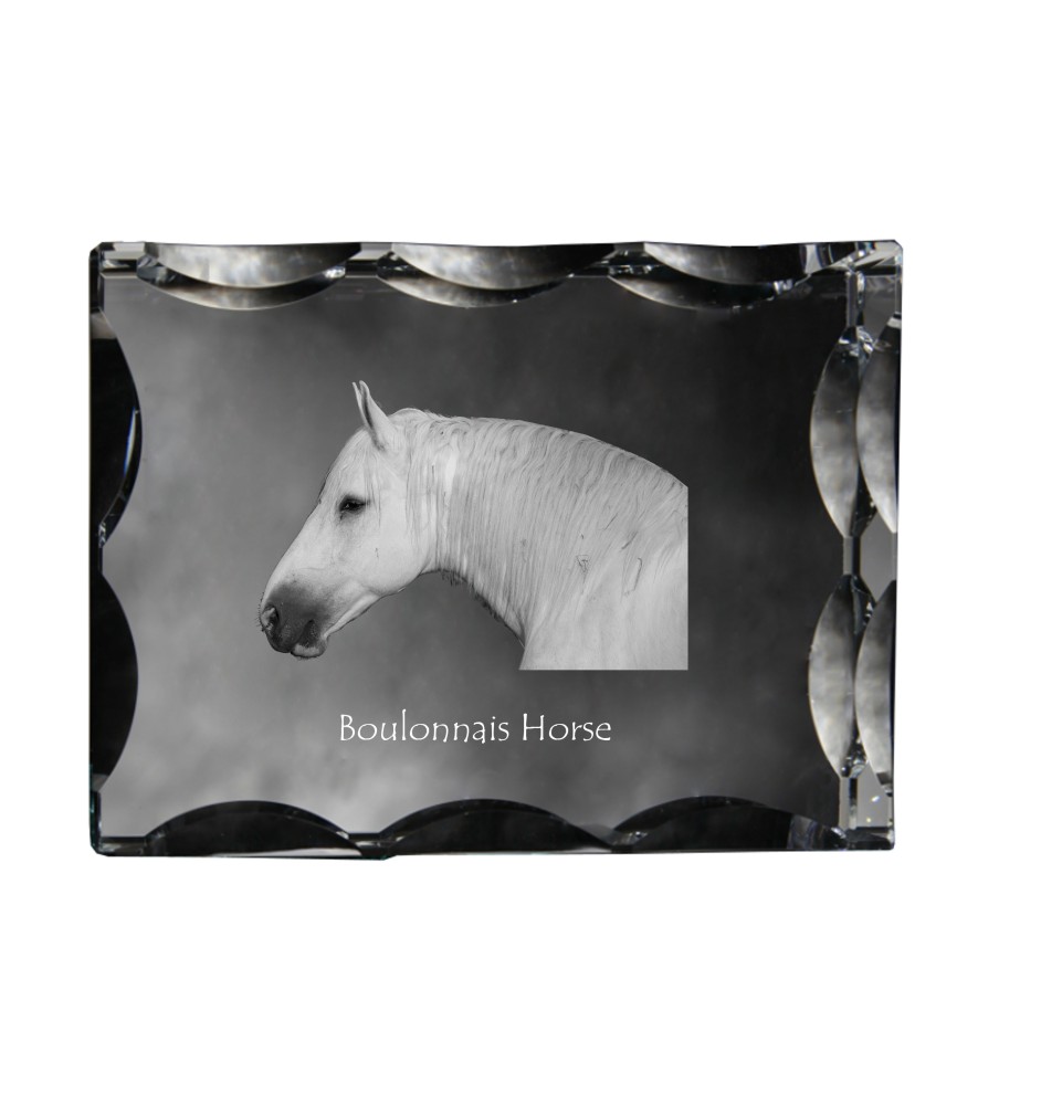 Boulonnais-Pferd - crystal with a picture of a horse, glass statuette with a picture, unique frame with a picture from Art-Dog brand