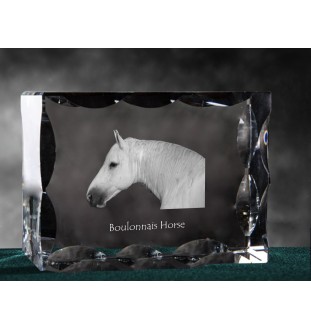 Boulonnais-Pferd - crystal with a picture of a horse, glass statuette with a picture, unique frame with a picture from Art-Dog brand
