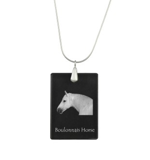 Cheval Boulonnais - Crystal pendant with horse, silver necklace with photo, personalised pendant by Art-Dog brand