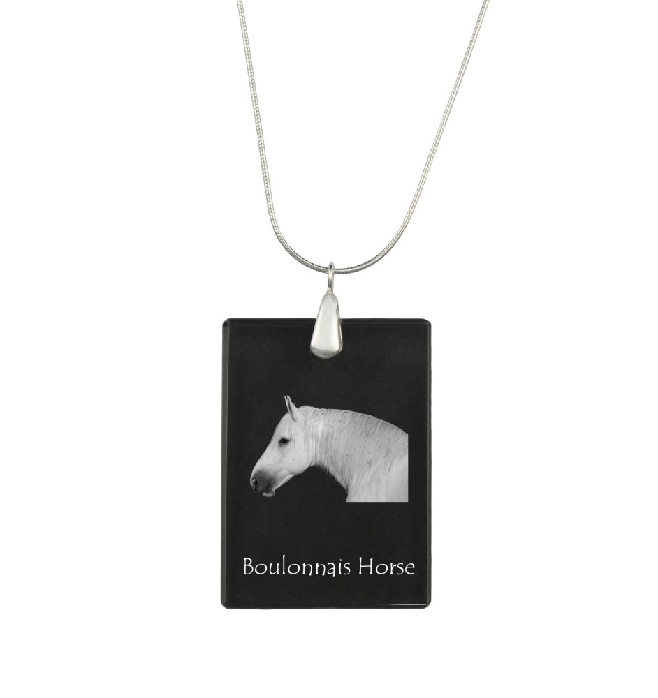 Boulonnais-Pferd - Crystal pendant with horse, silver necklace with photo, personalised pendant by Art-Dog brand