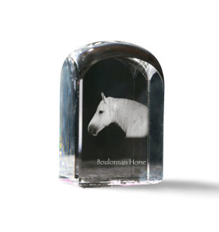 Cheval Boulonnais - un cube de cristal avec une photo, une photo de cheval dans le cristal, un presse-papiers cubique de la marque Art-Dog
