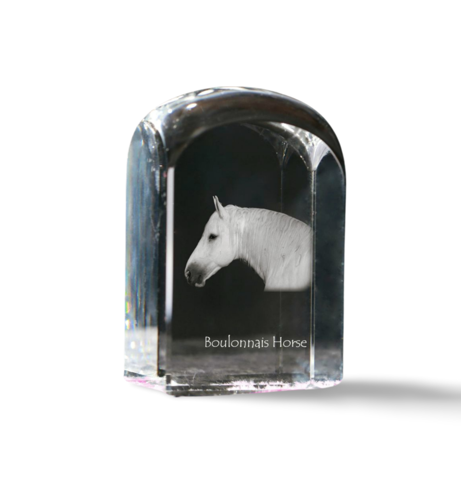 Cheval Boulonnais - un cube de cristal avec une photo, une photo de cheval dans le cristal, un presse-papiers cubique de la marque Art-Dog