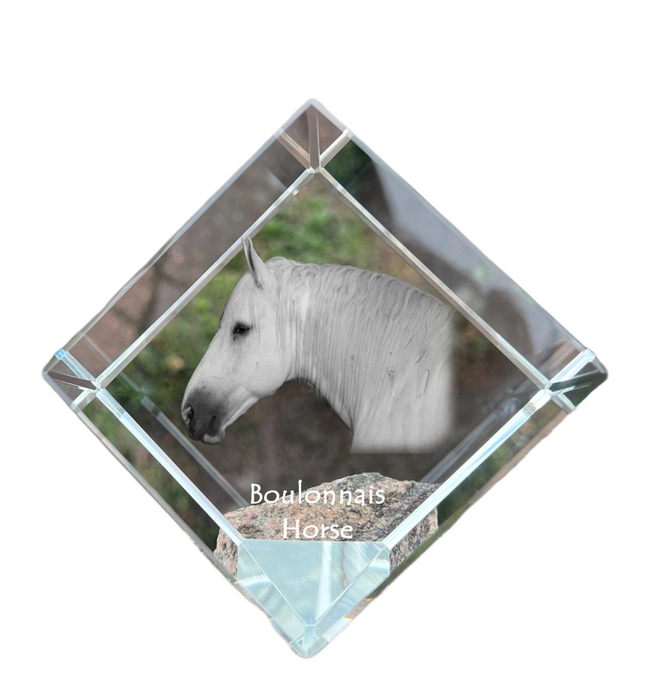 Boulonnais Horse - crystal cube with a horse picture, horse picture in crystal, cubic paperweight from Art-Dog brand