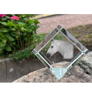 Boulonnais-Pferd - Kristallwürfel mit Pferdebild, Pferdebild im Kristall, sechseckiger Papierclip der Marke Art-Dog