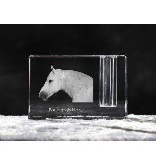 Boulonnais Horse - Pen stand, crystal organiser with picture of a horse, unique desk decoration by Art-Dog brand