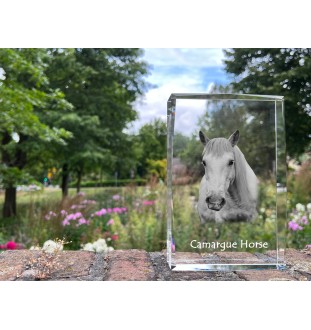 Camargue-Pferd - Kristall mit einem Pferdebild, Bild im Glas, moderne Ausstellung des Art-Dog-Bildes.