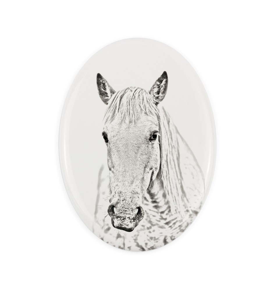 Camargue Horse - commemorative plaque with a photo of a horse, tombstone plaque with a print, personalized oval plaque by Art-Dog brand