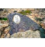Camargue Horse - commemorative plaque with a photo of a horse, tombstone plaque with a print, personalized oval plaque by Art-Dog brand