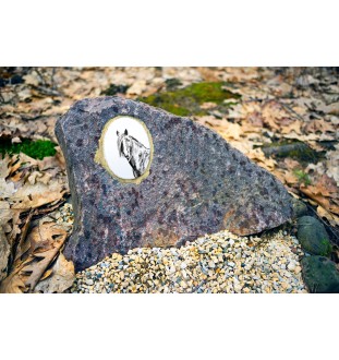 Canadian Horse - commemorative plaque with a photo of a horse, tombstone plaque with a print, personalized oval plaque by Art-Dog brand