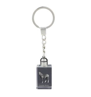 Cheval canadien - Pendentif en cristal avec photo de cheval, pendentif lumineux, cadeau unique de la marque Art-Dog