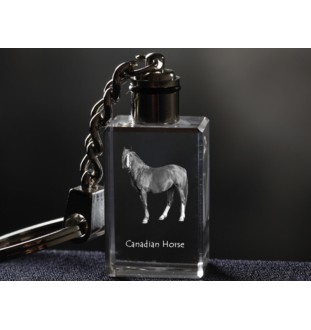 Canadian Horse - Crystal pendant with photo of a horse, illuminated pendant, unique gift by Art-Dog brand
