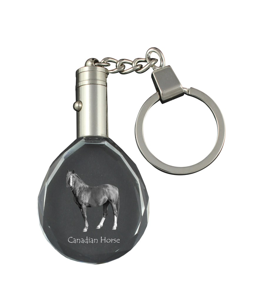 Cheval canadien - pendant with a picture of a horse, crystal key ring in a gift box, unique gift by Art-Dog brand