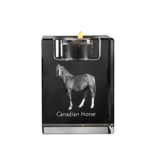 Kanadisches Pferd - Kerzenhalter mit Bild eines Pferdes, Teelichthalter aus Kristall, personalisiertes Geschenk der Marke Art-Dog
