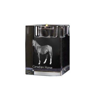 Kanadisches Pferd - Kerzenhalter mit Bild eines Pferdes, Teelichthalter aus Kristall, personalisiertes Geschenk der Marke Art-Dog
