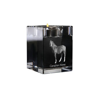 Kanadisches Pferd - Kerzenhalter mit Bild eines Pferdes, Teelichthalter aus Kristall, personalisiertes Geschenk der Marke Art-Dog