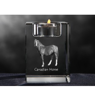 Kanadisches Pferd - Kerzenhalter mit Bild eines Pferdes, Teelichthalter aus Kristall, personalisiertes Geschenk der Marke Art-Dog
