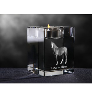 Kanadisches Pferd - Kerzenhalter mit Bild eines Pferdes, Teelichthalter aus Kristall, personalisiertes Geschenk der Marke Art-Dog