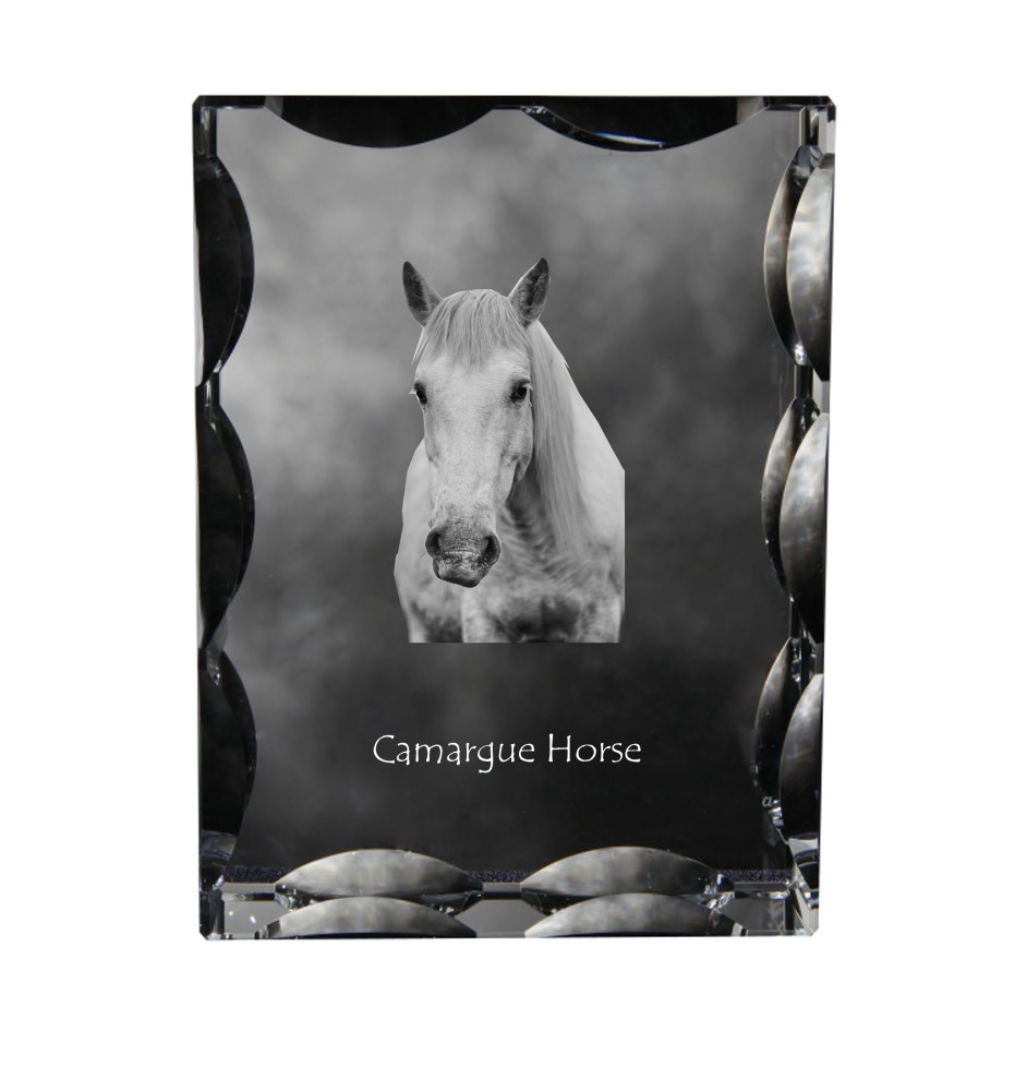 Camargue-Pferd - crystal with a picture of a horse, glass statuette with a picture, unique frame with a picture from Art-Dog brand
