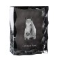 Camargue-Pferd - crystal with a picture of a horse, glass statuette with a picture, unique frame with a picture from Art-Dog brand