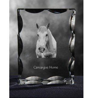 Camargue-Pferd - crystal with a picture of a horse, glass statuette with a picture, unique frame with a picture from Art-Dog brand
