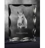 Camargue-Pferd - crystal with a picture of a horse, glass statuette with a picture, unique frame with a picture from Art-Dog brand